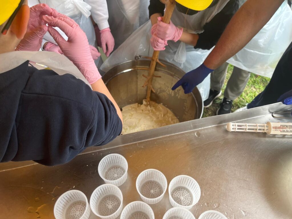 Facciamo il FORMAGGIO